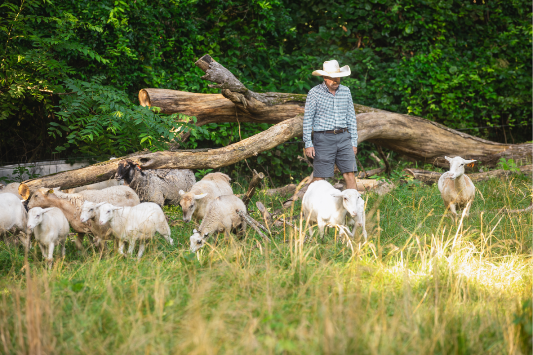Working Hard for West Tennessee Farmers