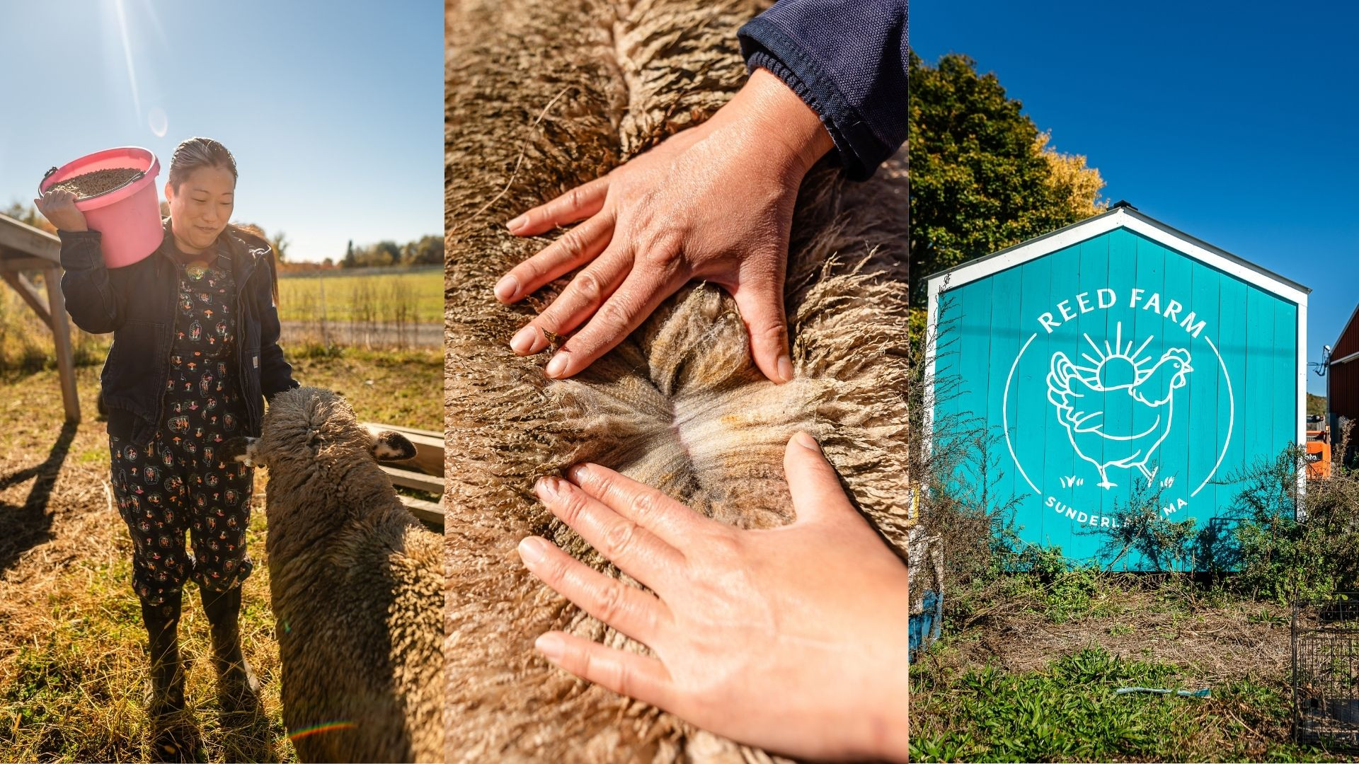 How Kat Chang is Putting Massachusetts Poultry on the Map