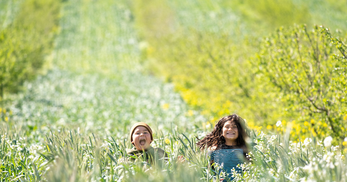 American Farmland Trust photo