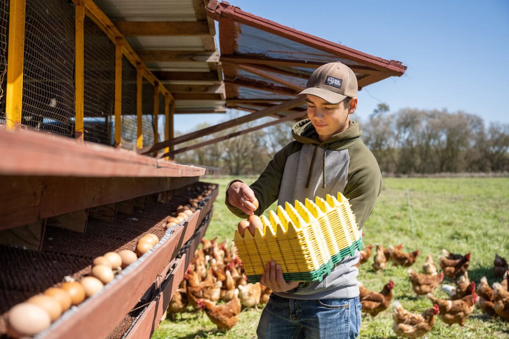 What is Biochar? · American Farmland Trust