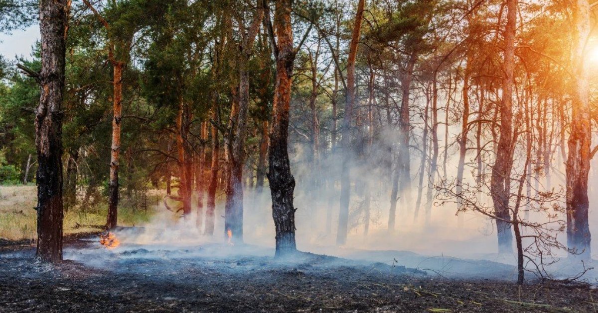 Fire Frams Fire Readiness: Emergency Action Planning for Farms, Ranches, and Rural ...