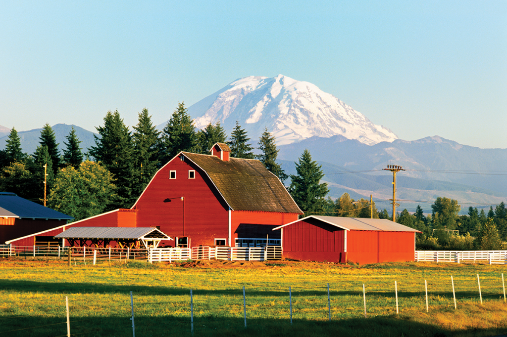 A red barn in the foreground with Tahoma or Mount Rainier in the background.