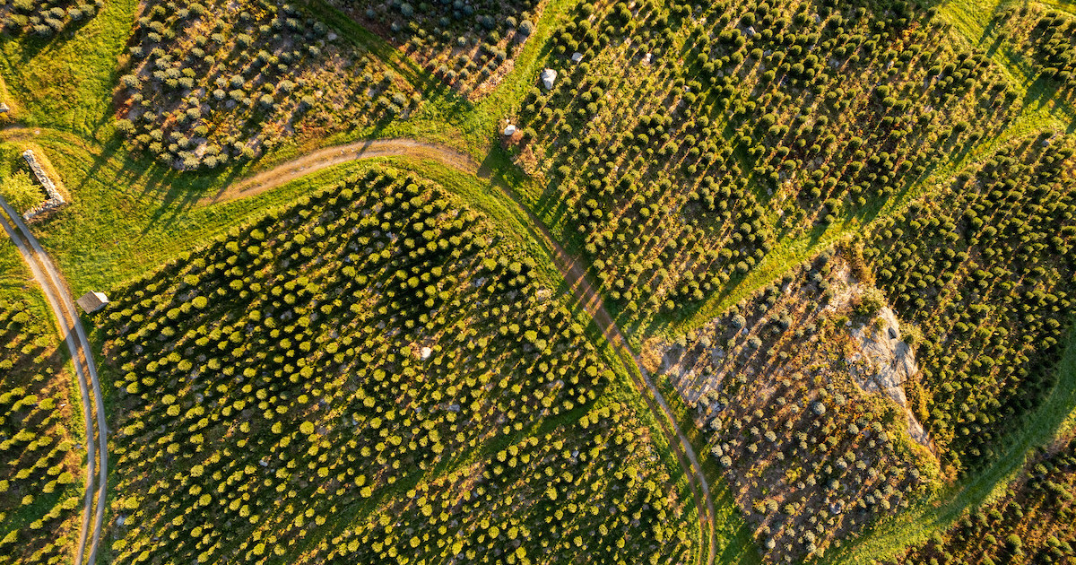 Western New England Regenerative Agriculture Project (RCPP)