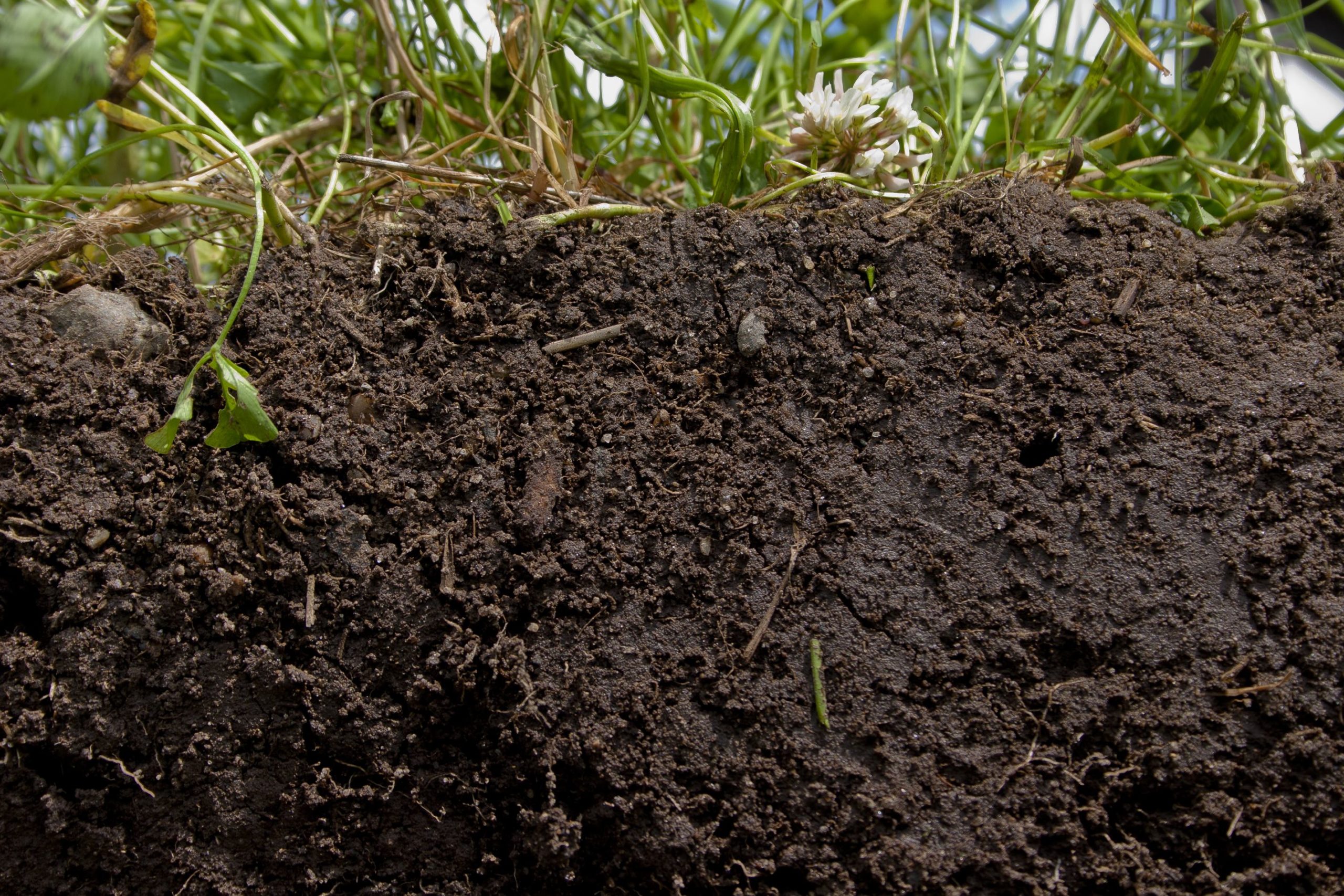 Highlands :: Soil Health