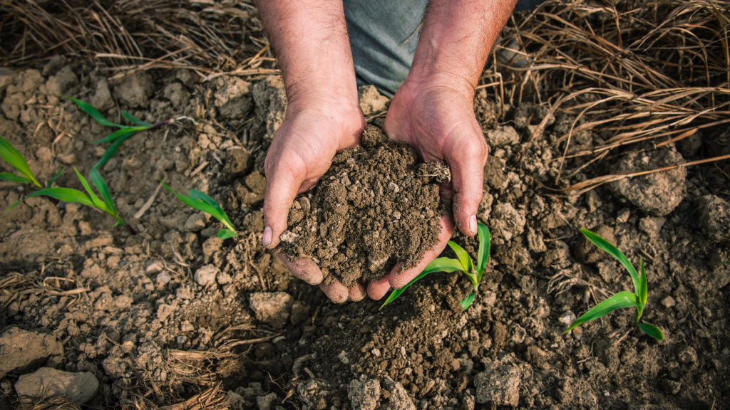 Soil Health Stewards Program - American Farmland Trust