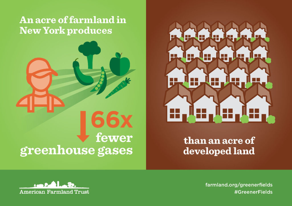 An acre of farmland in New York produces 66 times fewer greenhouse gases than an acre of developed land.