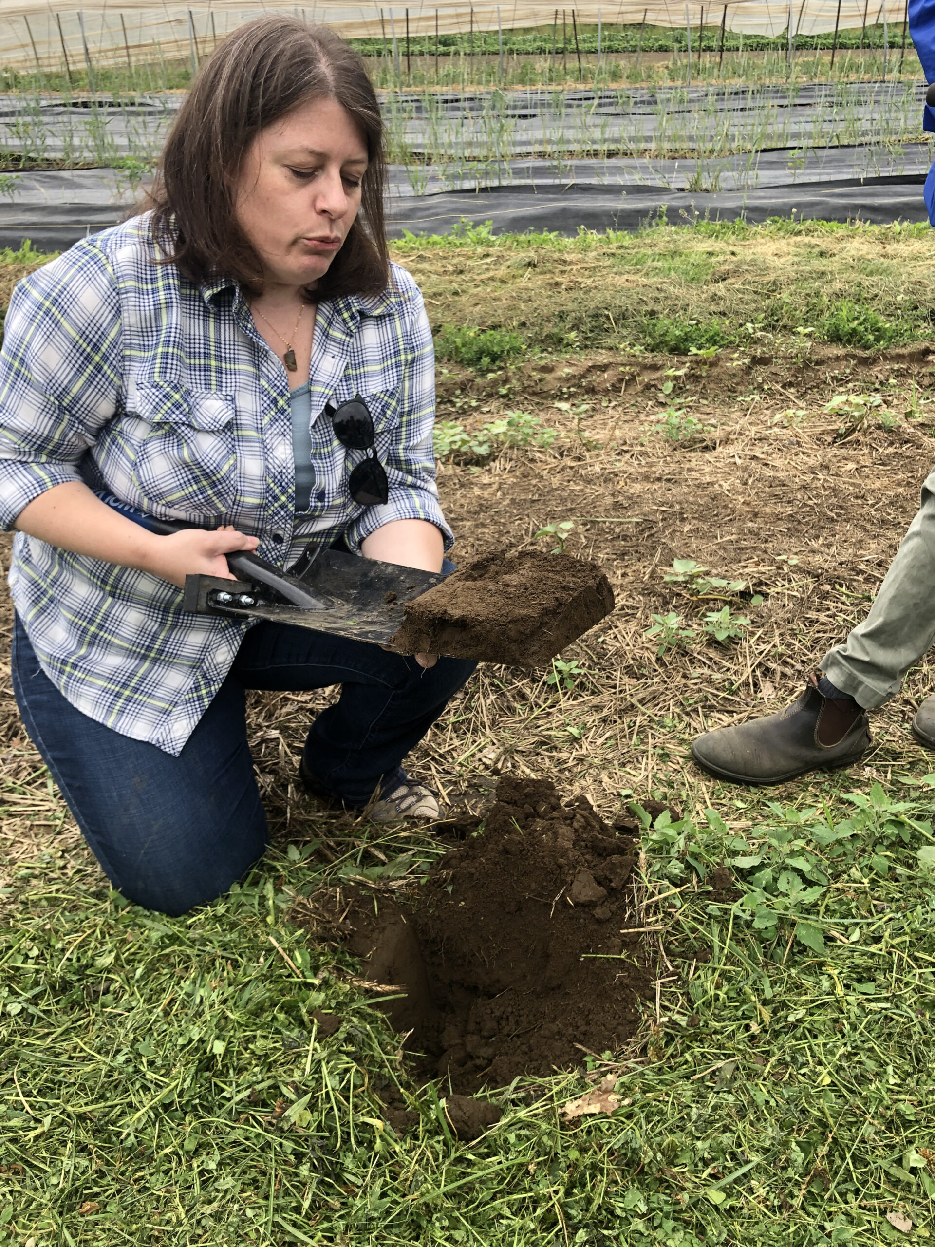 A Visit To Simple Gifts Farm, Innovators In The Soil Health Movement ...