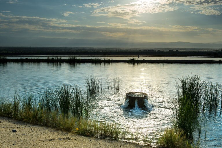 Groundwater Recharge Basin (815) - American Farmland Trust