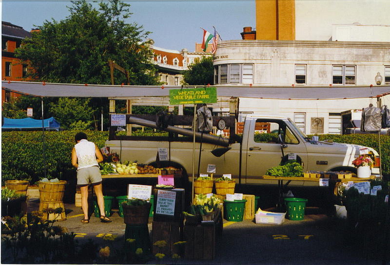 This image depicts a farmer setting up their vegetable stand on the opening day of the Dupont Circle farmers market in Washington DC in 1997.