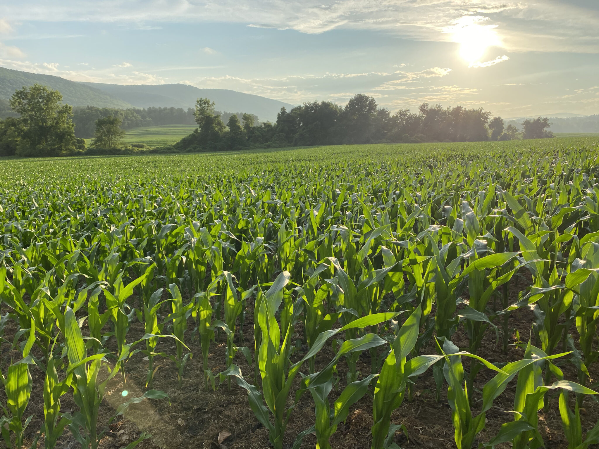 New England Resource Directory For Farmers - American Farmland Trust