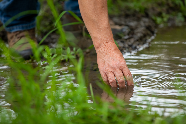 Farmer scoops water from creek into a jar