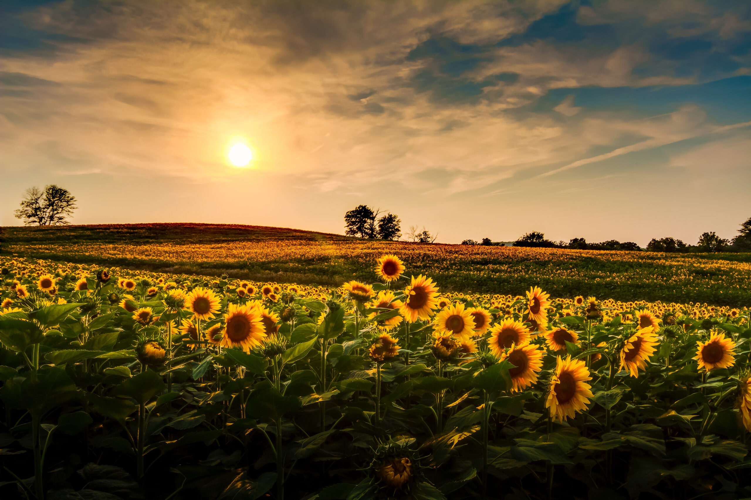 AFT Statement on the Inflation Reduction Act - American Farmland Trust