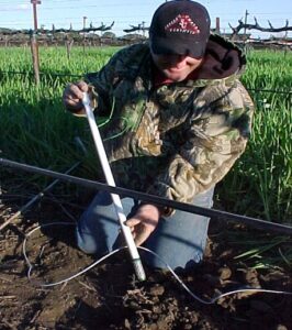 installing soil sensors for irrigation management.