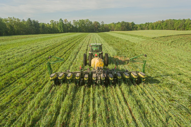 Planting Green into a living cover crop