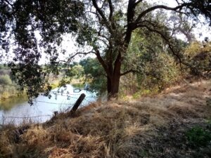 Riverdance Farms sits on the Merced River