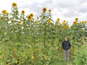 Dani Fegan stands in giant sunflowers