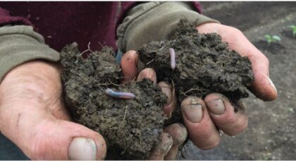 An Action Plan For Healthy Soils In Massachusetts - American Farmland Trust