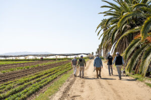 Farmers of all types stand in Camarillo farm field