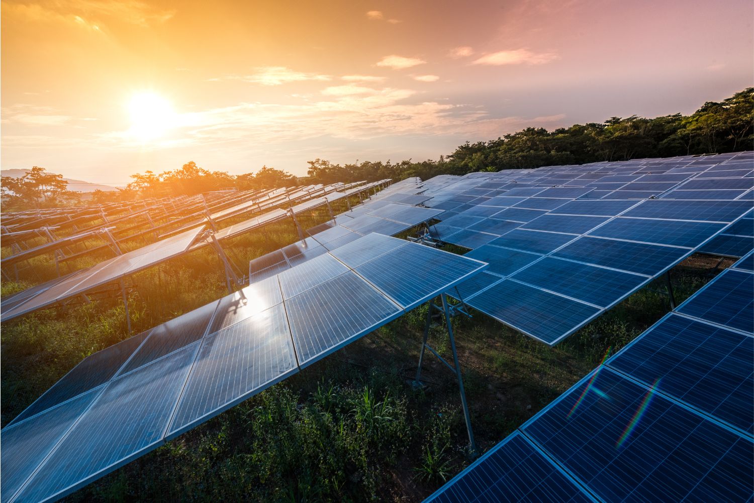 The 2023 Solar Farm Summit Promises a Brighter Future American Farmland Trust