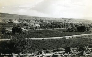 An archival photo of Colorado fruit orchards along the Colorado River.