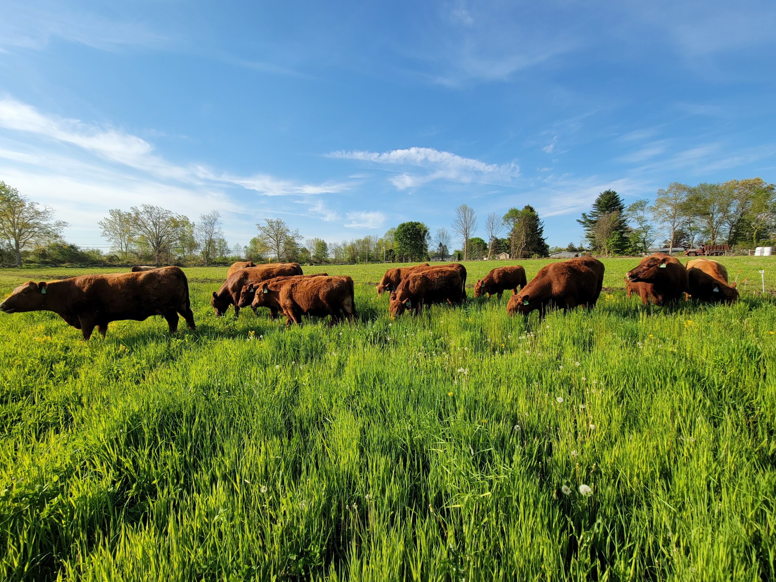 Farmer Led Innovators Field Walks - American Farmland Trust