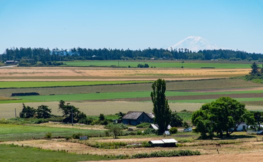 A farm field and barn in Washington state