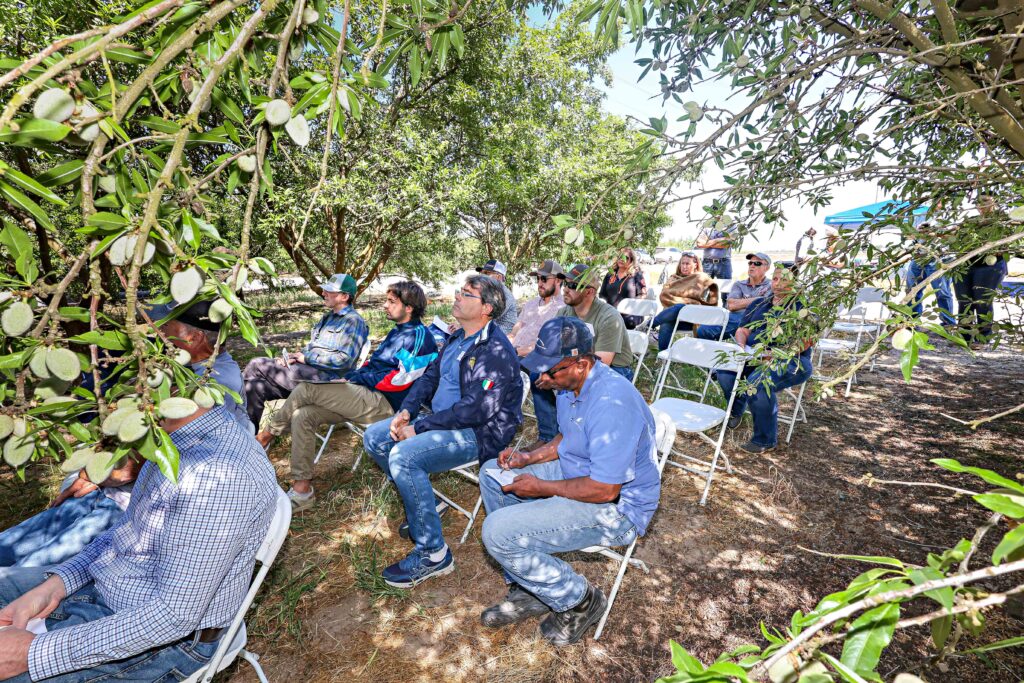 Farmers sit among cover crops and almond trees