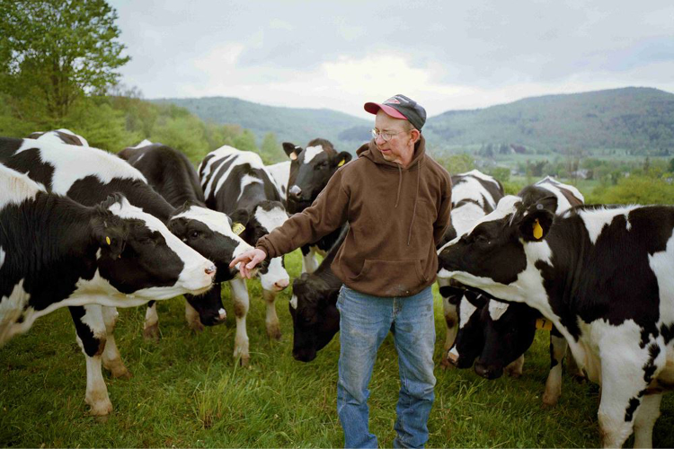 Dairy Farmer Tom Hutson with cows