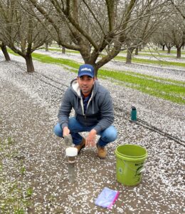 Conducting a biochar trial at an almond orchard