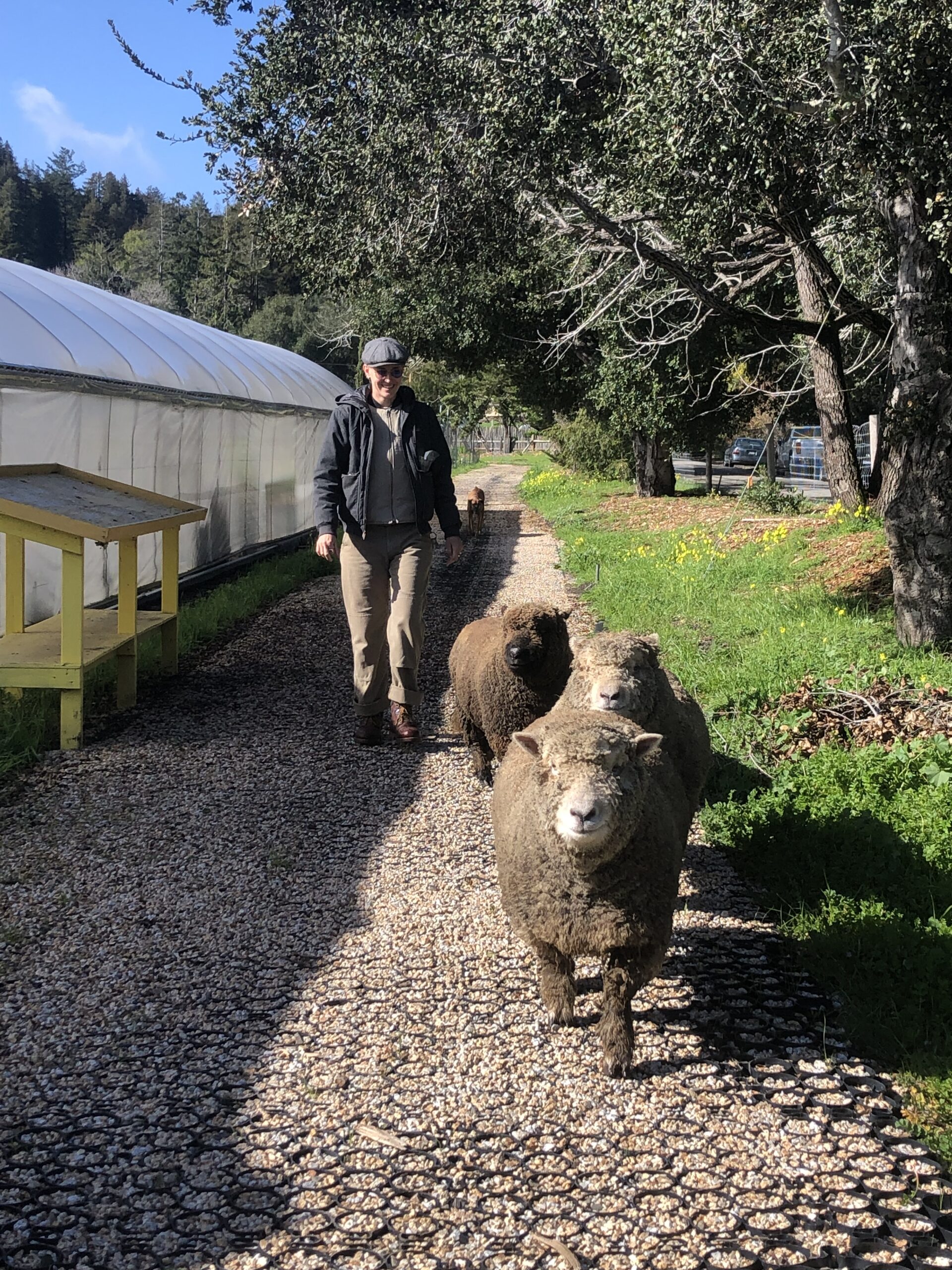 How a Farm Grant is Helping Common Roots Farm Grow Food with a