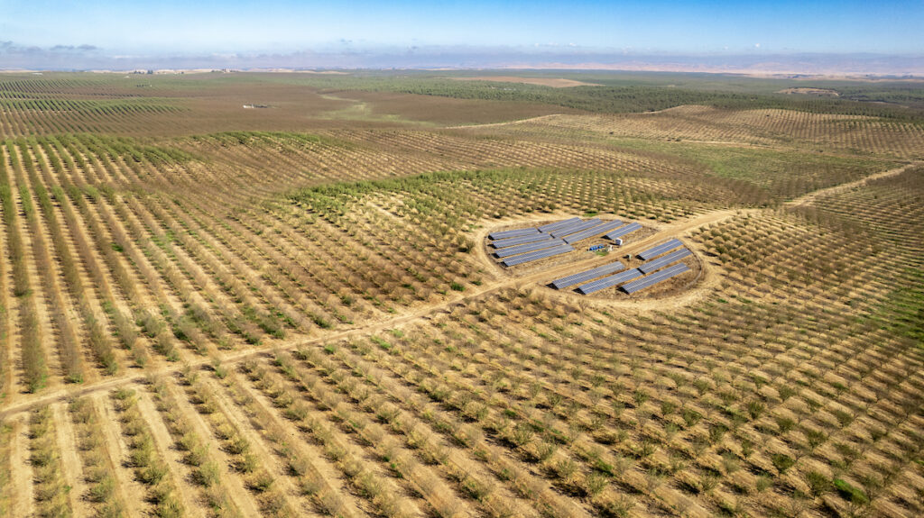 solar power at almond orchard in California