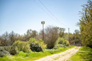 A hedgerow and bird house are part of California conservation practices