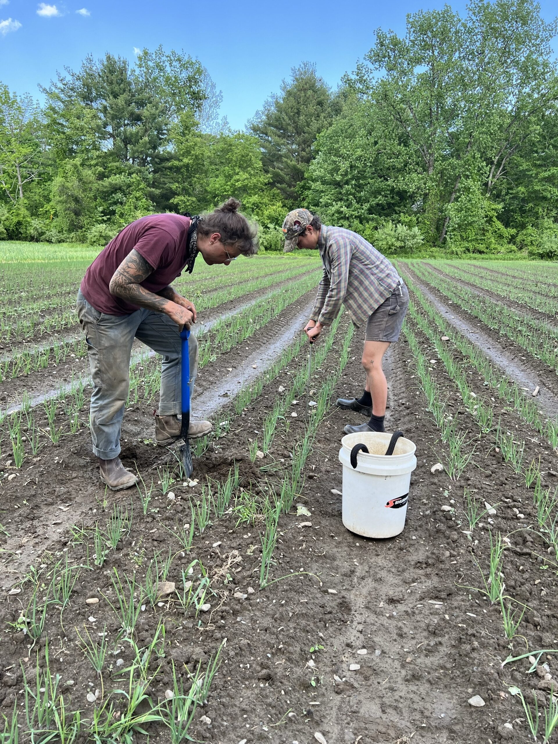 Demystifying Soil Health Management Planning: Farmers Share ...