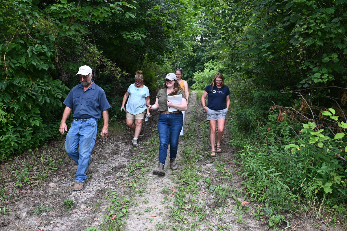 People walk down wooded path