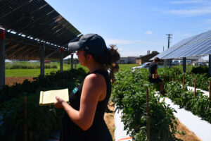 Christina Couch, AFT’s New Jersey Technical Specialist, standing in front of an agrivoltaic system.