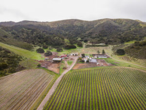 A small ranch in Santa Barbara mountains surrounded by hills and a vineyard.