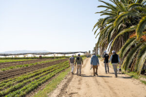 farmers walk next to farm fields.