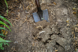 Shovel in soil