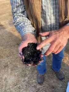 biochar in the hand.