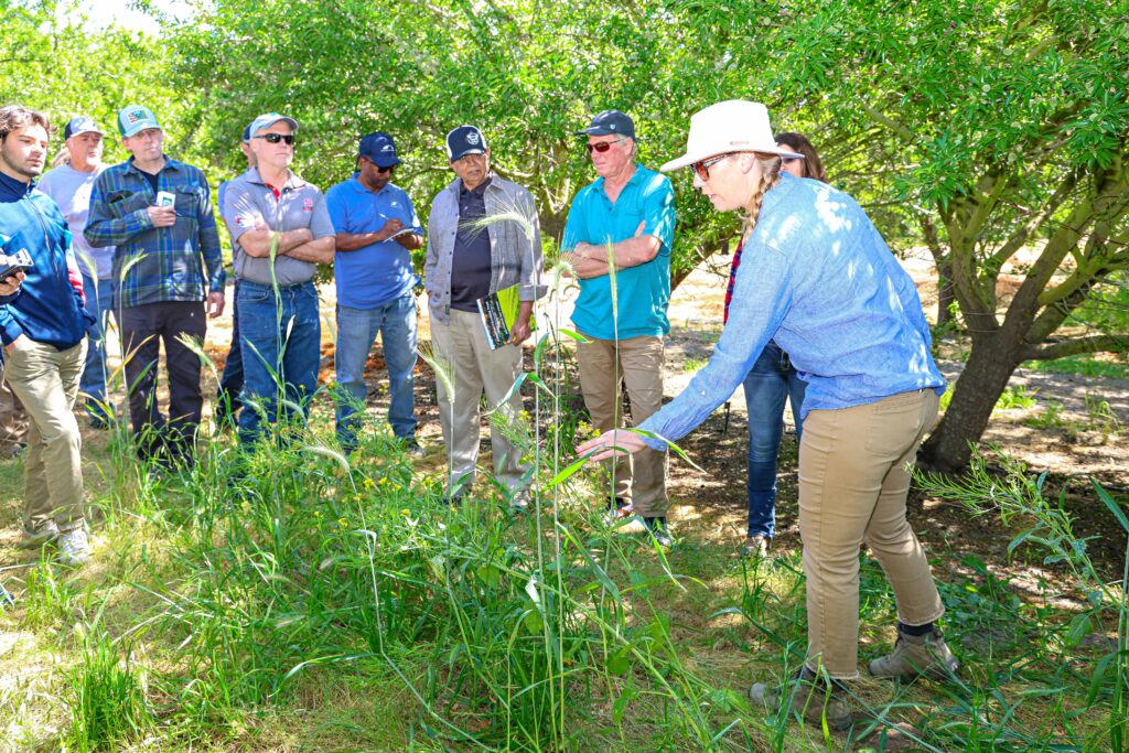 farmers and cover crops